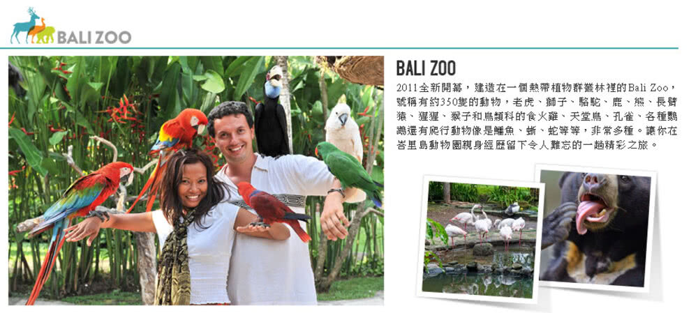 喜鴻假期 【親親峇里島５日】《新春限定》奇幻動物園、海豚共遊