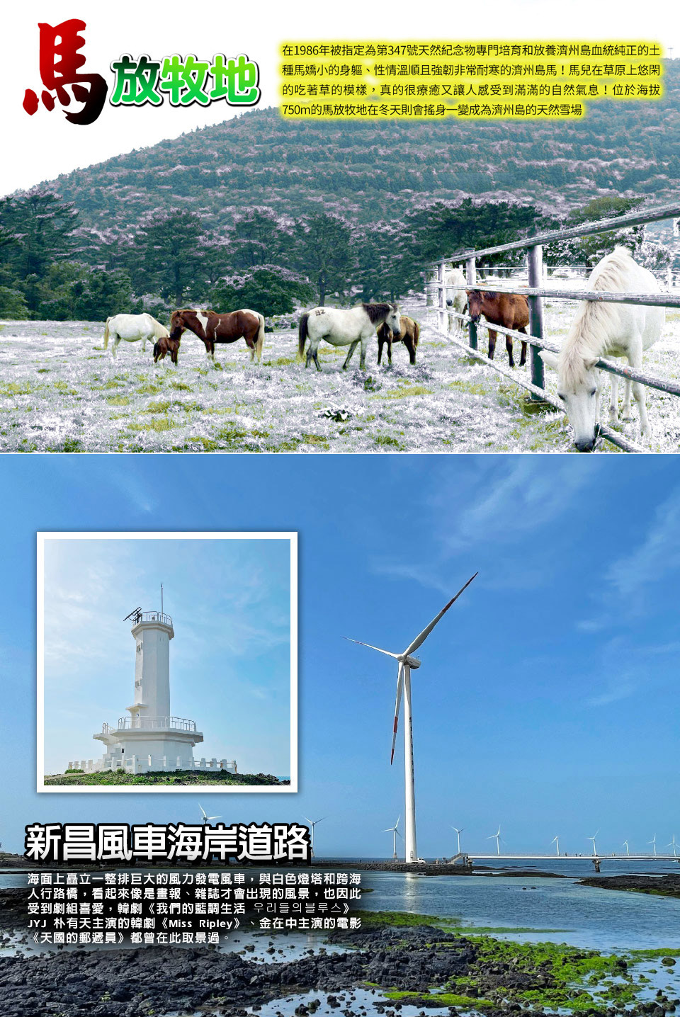 12-2月限量下殺↘ 易起瘋濟州~汗蒸幕、騎駱駝、漢拏山賞雪