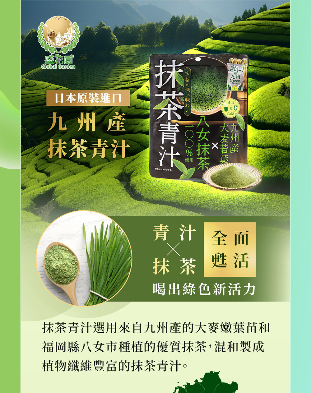 抹茶青汁選用來自九州產的大麥嫩葉苗和