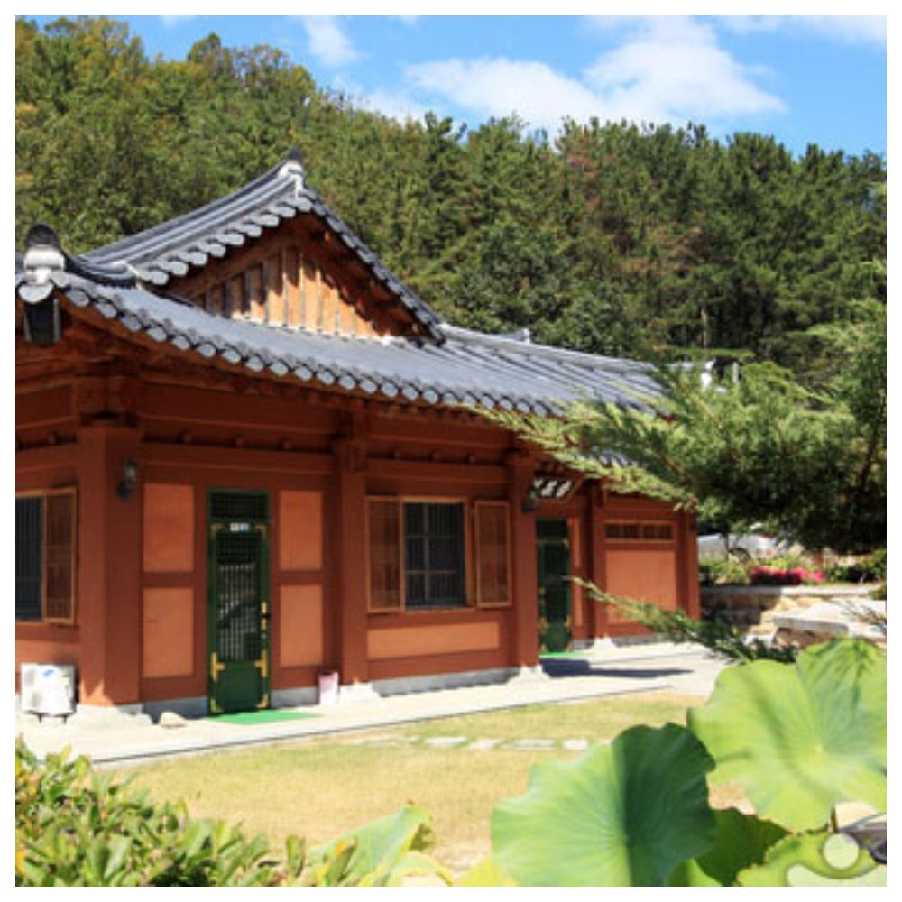 順怡旅遊 飛躍邱釜三城遊記五日(德威航空 或 真航空) 推薦