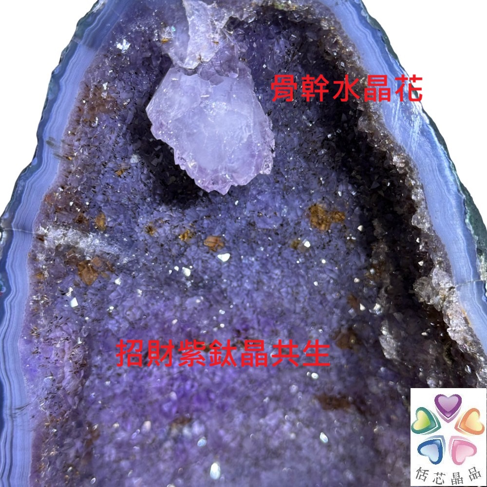 è±å¹¹æ°´æ¶è± è¾è¯æ¶å 