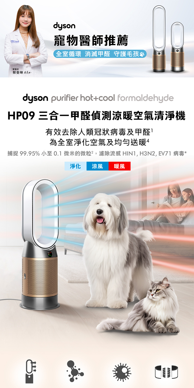 dyson 戴森 HP09 Purifier Hot+Coo