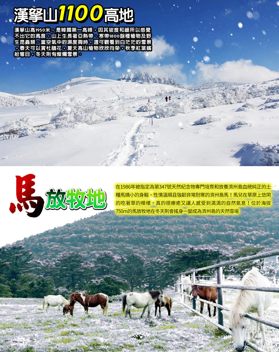 新春1/27.31.出發↘ 威風冬遊嗨翻濟州-英式小火車、1