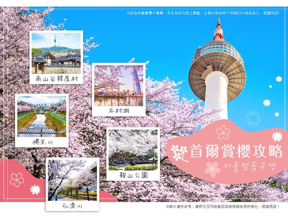 喜鴻假期 【不進人蔘保肝，韓櫻首爾5日】賞櫻秘境、樂天樂園、