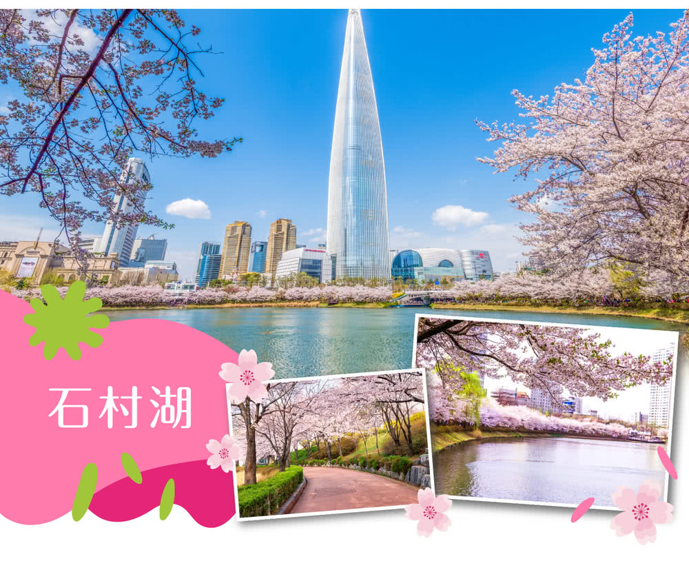 喜鴻假期 【不進人蔘保肝，韓櫻首爾5日】賞櫻秘境、樂天樂園、