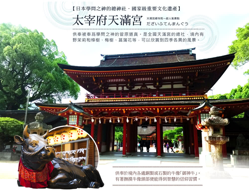 喜鴻假期 【高雄出發．紫愛九州海陸空５日】夢幻紫藤、熊本郵輪