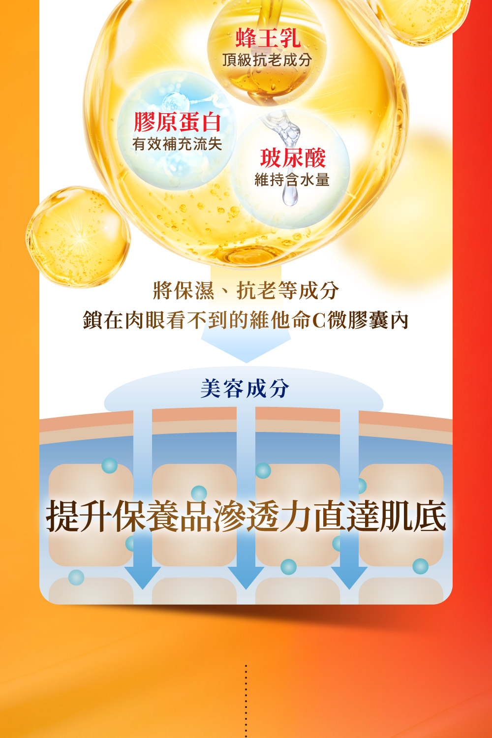 鎖在肉眼看不到的維他命C微膠囊內