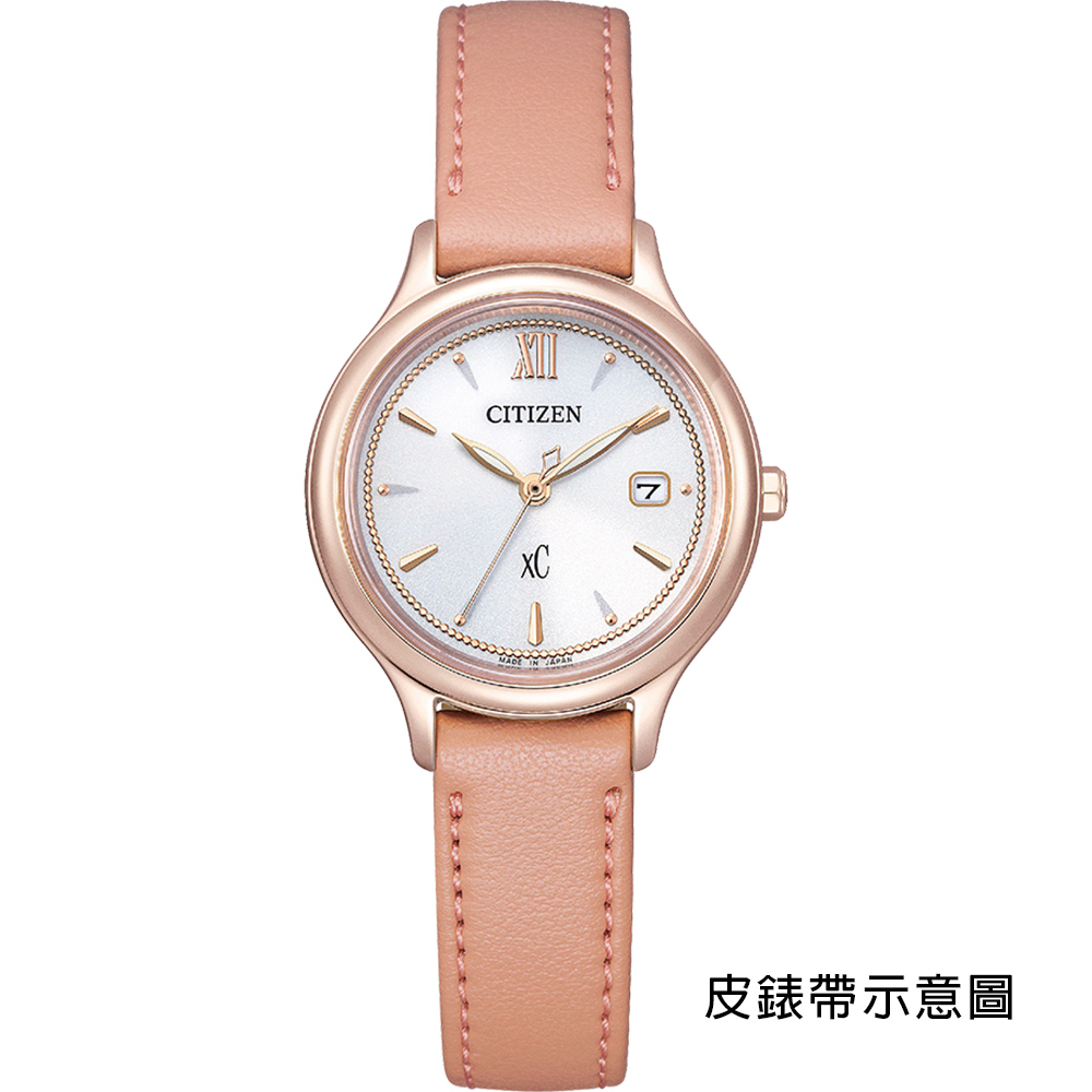 ç®é¶å¸¶ç¤ºæå 