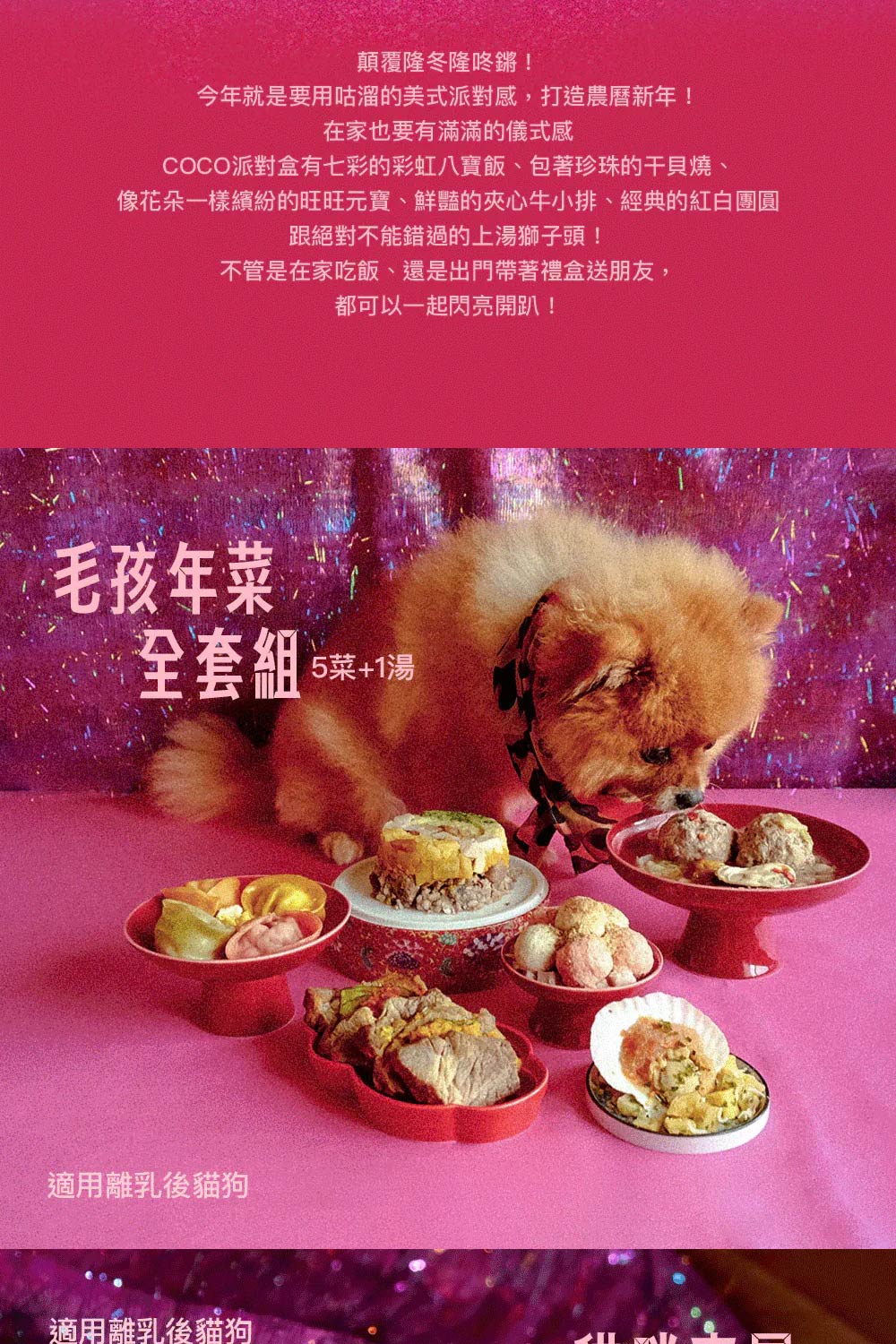 COCONILLA 口口迷 手工寵物年菜-貓咪小資3+1件組 COCONILLA 口口迷 手工寵物年菜-貓咪小資3+1件組