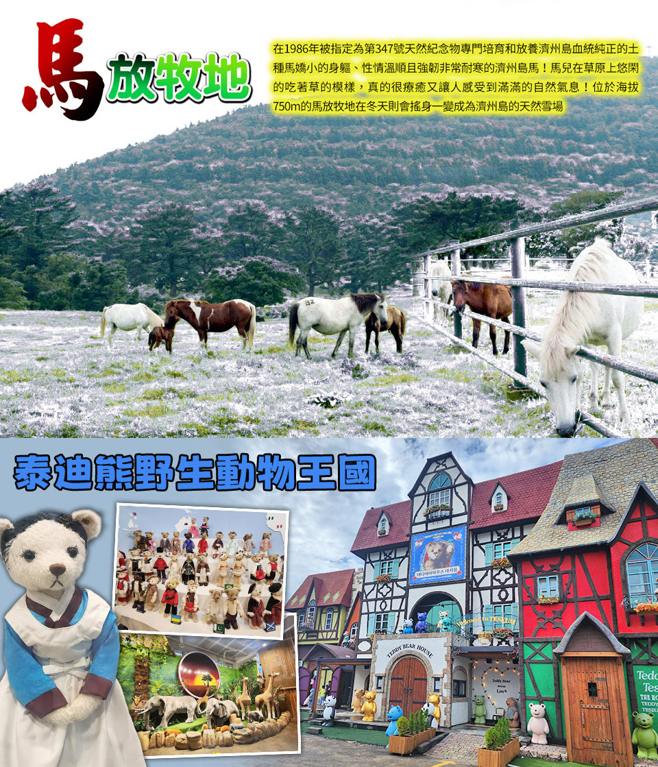 1-2月賞雪下殺↘ 威瘋嗨玩濟州五日-漢拏山賞雪、跆拳武藝秀