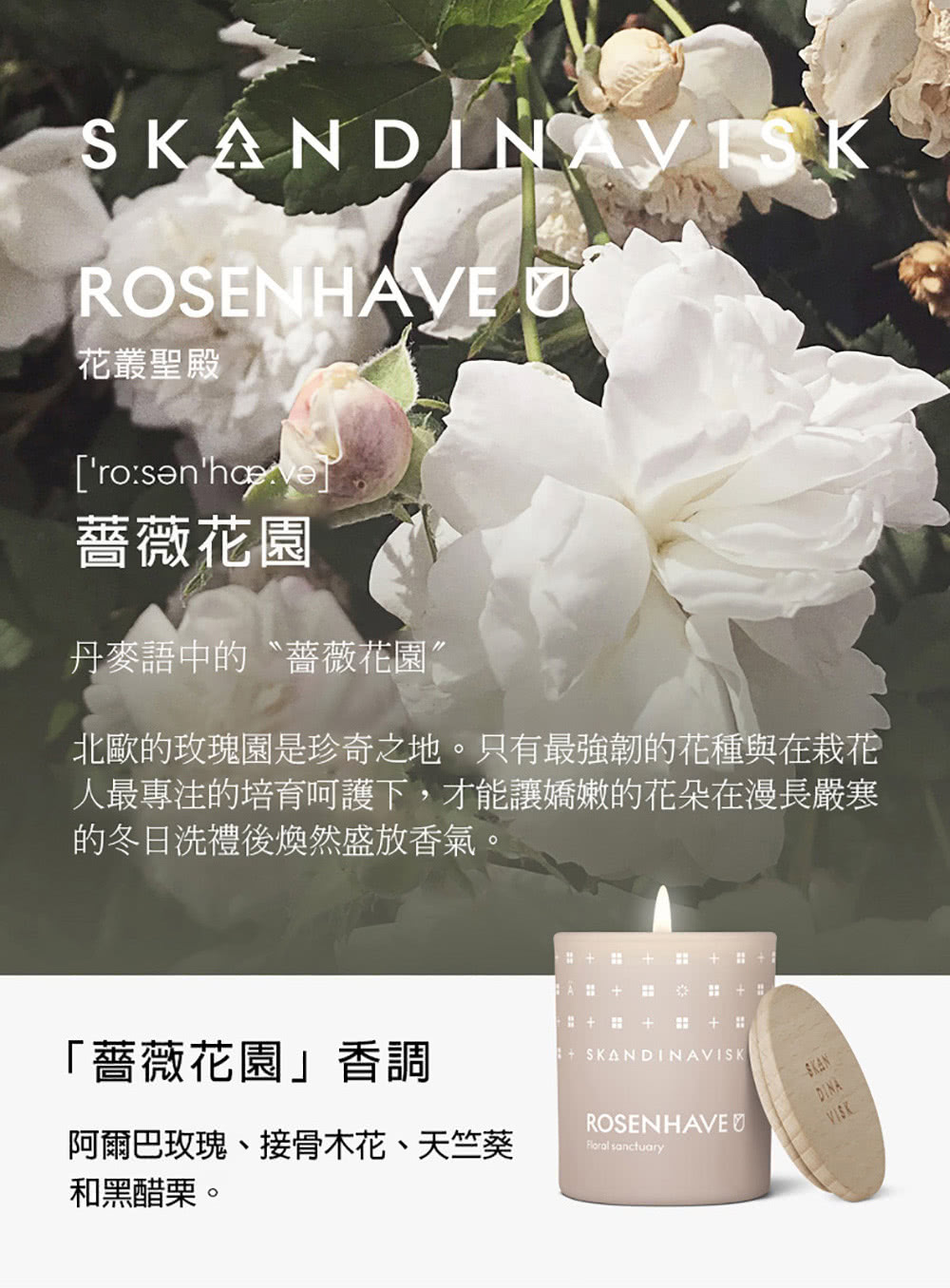 北歐的玫瑰園是珍奇之地。只有最強韌的花種與在栽花