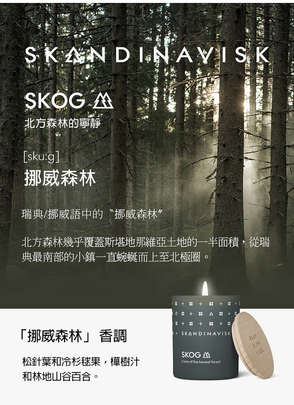 北方森林幾乎覆蓋斯堪地那維亞土地的一半面積,從瑞