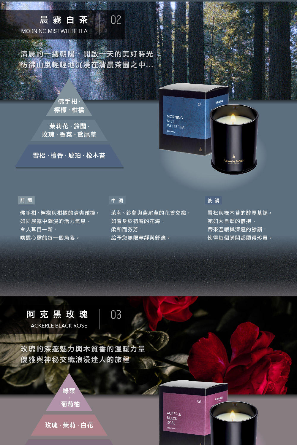彷彿山嵐輕輕地沉浸在清晨茶園之中...