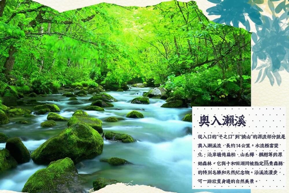 吉航旅遊 精緻假期~東北奧入瀨溪.松島遊船.嚴美溪.角館.銀