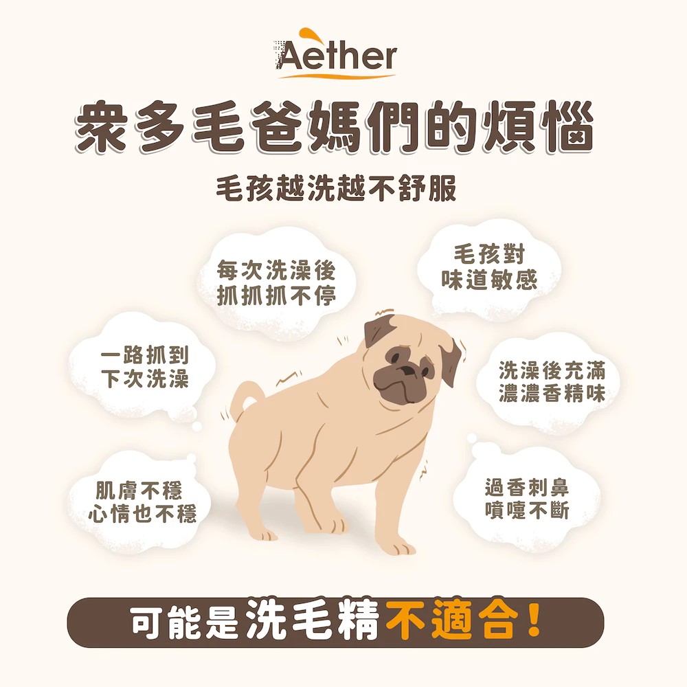 衆多毛爸媽們的煩惱