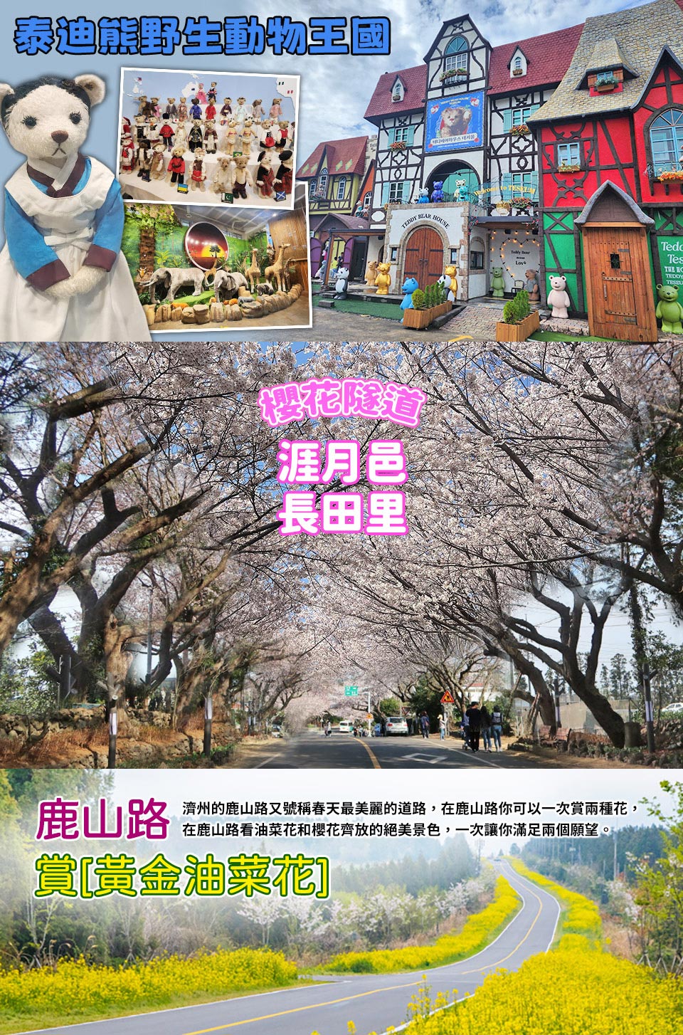 3/20-4/15出發賞櫻限定↘ 易起粉櫻濟州五日~櫻花隧道