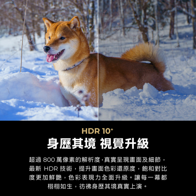 身歷其境 視覺升級 超過800 萬像素的解析度,真實呈現畫面及細節, 最新 HDR 技術,提升畫面色彩還原度,飽和對比 度更加鮮艷,色彩表現力全面升級。讓每一幕都 栩栩如生,彷彿身歷其境真實上演。 