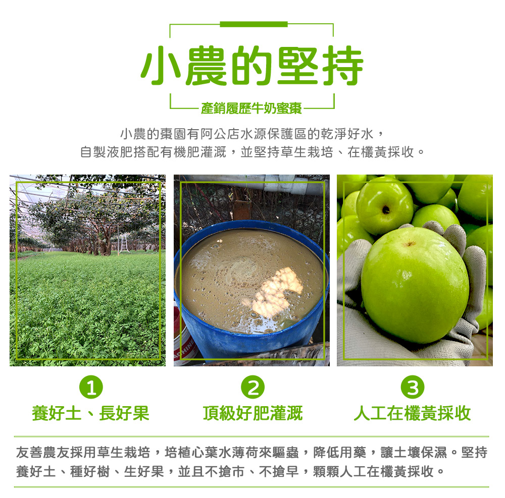 農頭家 高雄牛奶蜜棗18顆平面禮盒X1盒(單顆4.0-4.4
