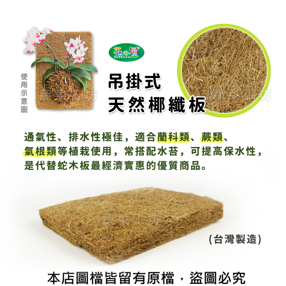 蔬菜工坊 花之屋吊掛式天然椰纖板 - 7吋優惠推薦