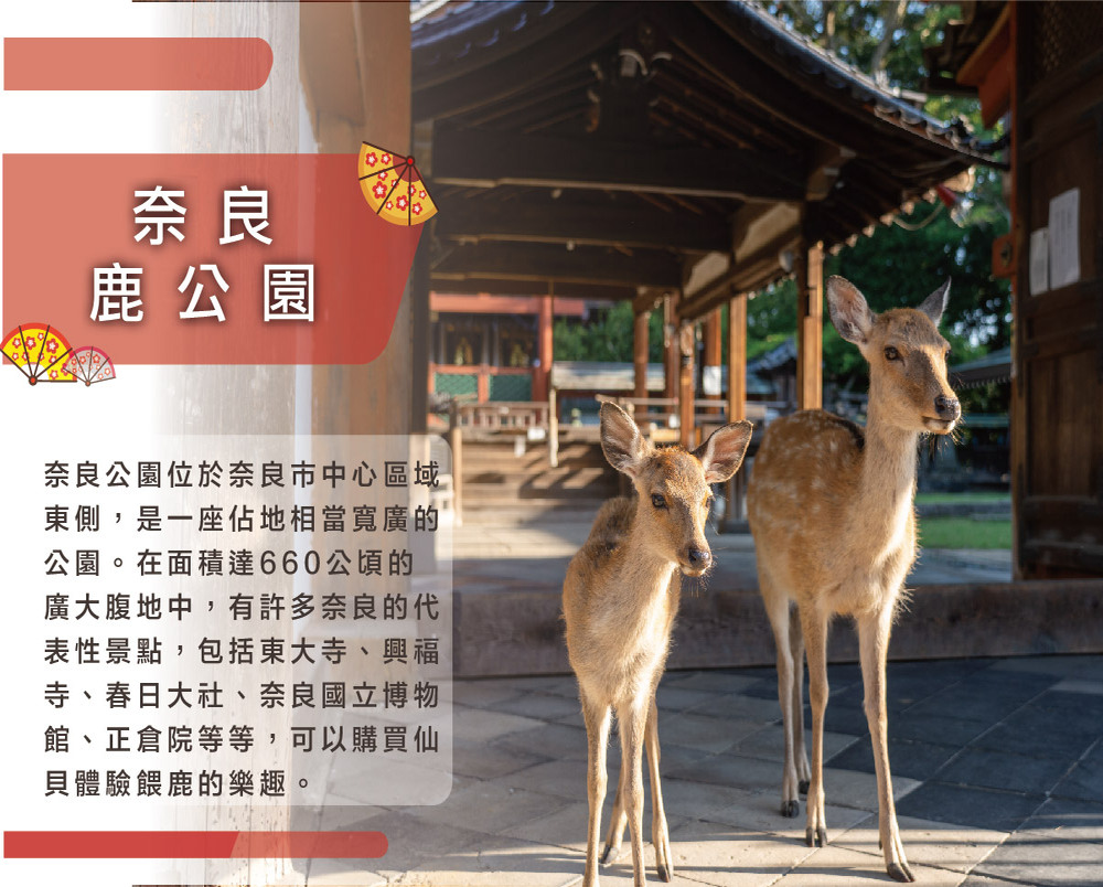 吉航旅遊 精緻假期大阪天橋立伊根舟屋合掌村嵐山渡月橋有馬溫泉