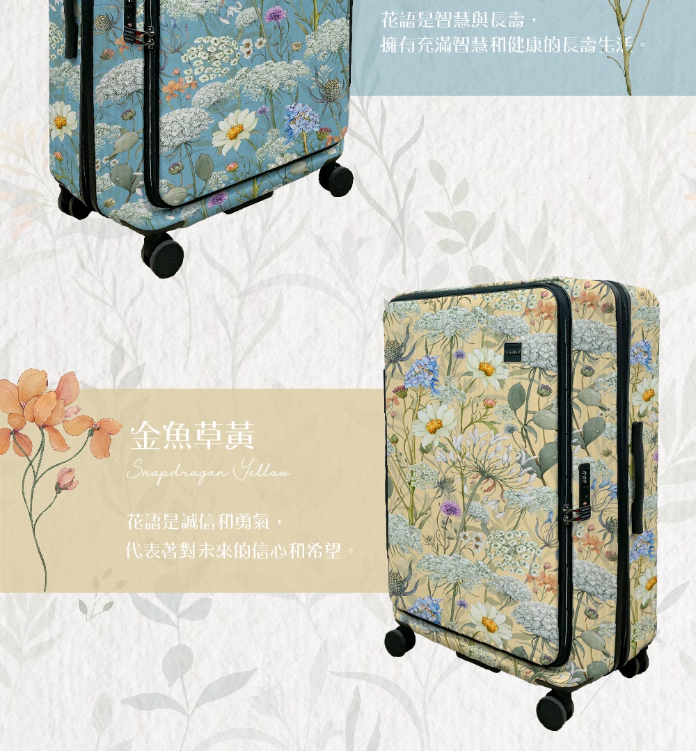 金魚草黃 花語是誠信和勇氣, 代表著對未來的信心和希望。 花語是智慧與長壽, 擁有充滿智慧和健康的長壽生活。 