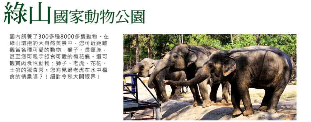喜鴻假期 【曼芭輕鬆遊泰國５日】無購物、綠山動物園、漫遊安帕