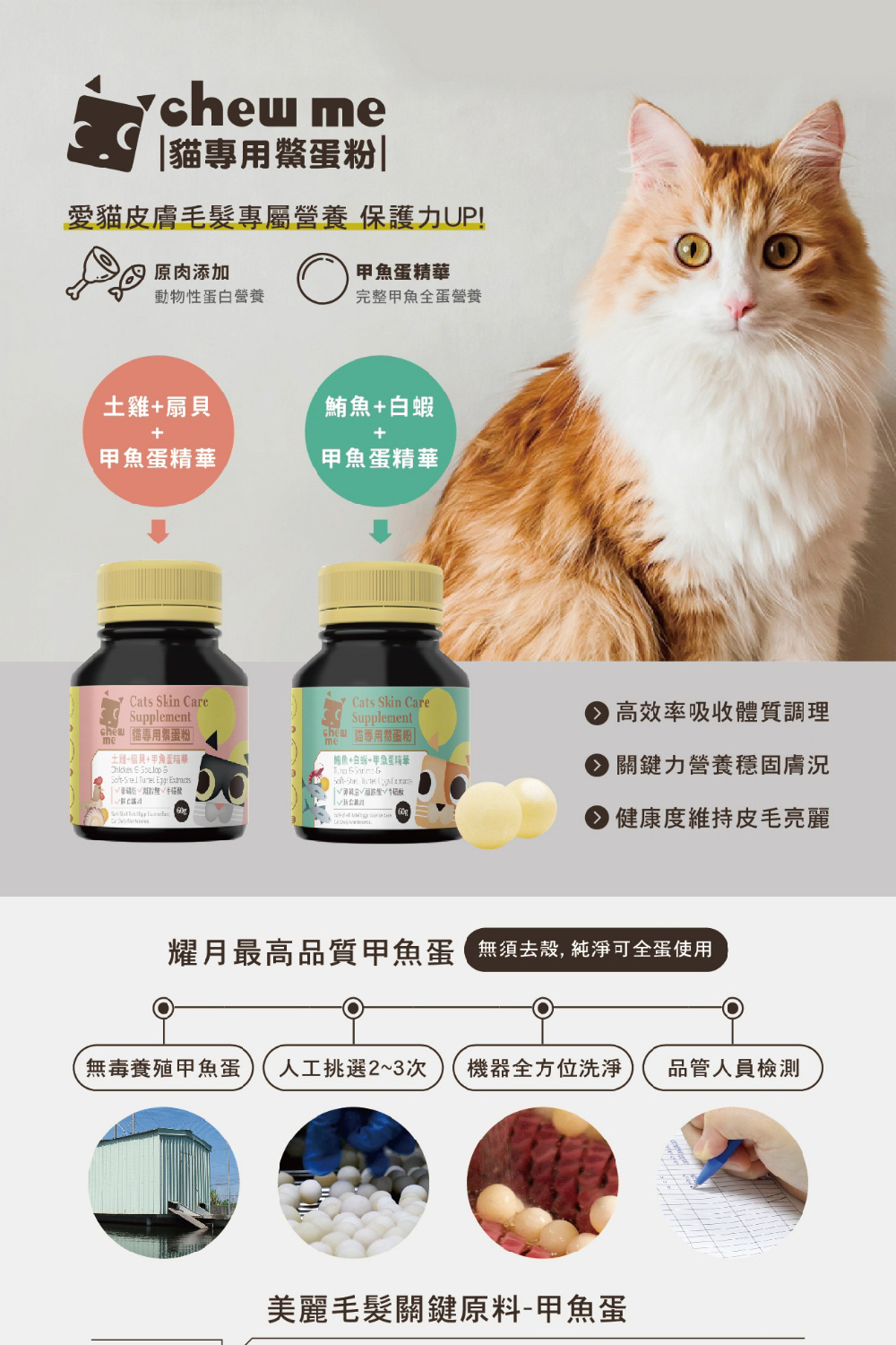 Chew Me 貓專用鱉蛋爆毛粉60Gx1罐入(貓專用/皮毛