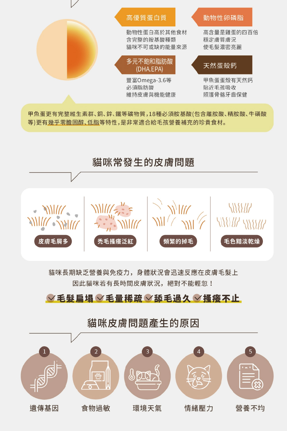Chew Me 貓專用鱉蛋爆毛粉60Gx1罐入(貓專用/皮毛