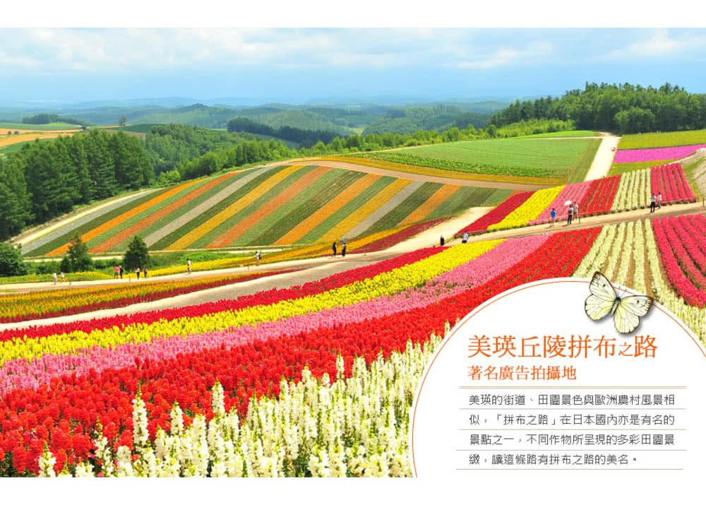 喜鴻假期 【長榮花遊漫旅北海道４日】富良野花田、絕景青池、旭