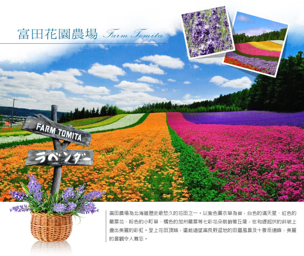 喜鴻假期 【長榮花遊漫旅北海道４日】富良野花田、絕景青池、旭