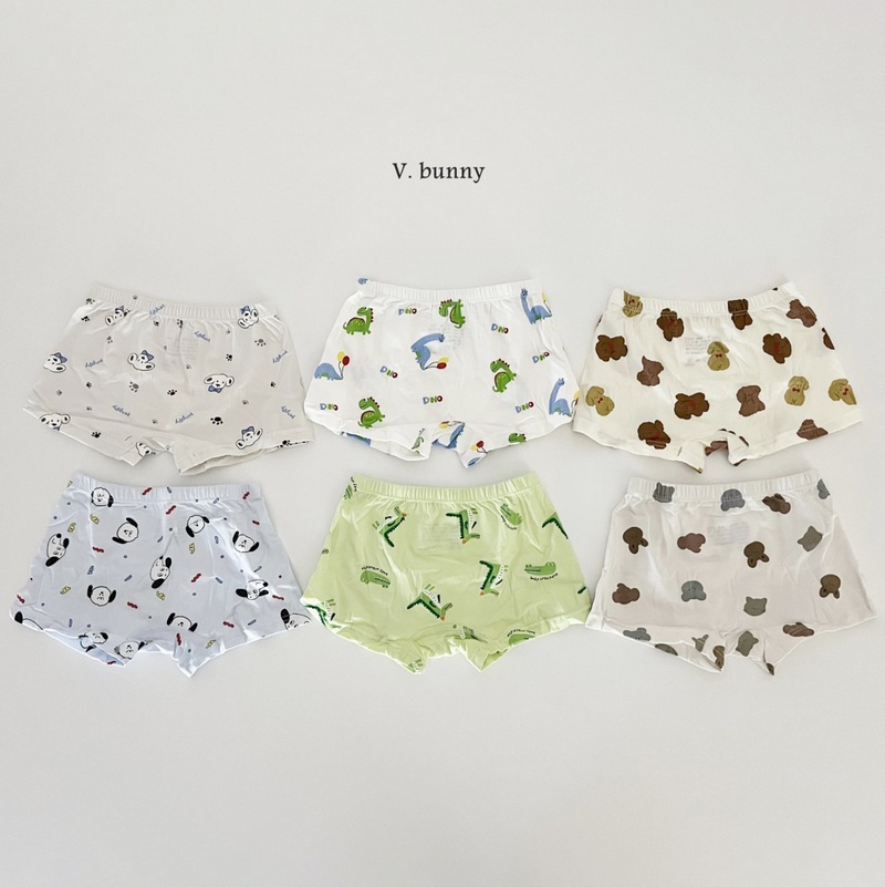 韓國 V.Bunny 狗狗熊熊恐龍男孩四角內褲6入組(TM2