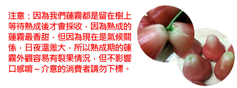 產地直送 屏東林邊黑珍珠蓮霧4台斤X2箱/精裝版(20-26