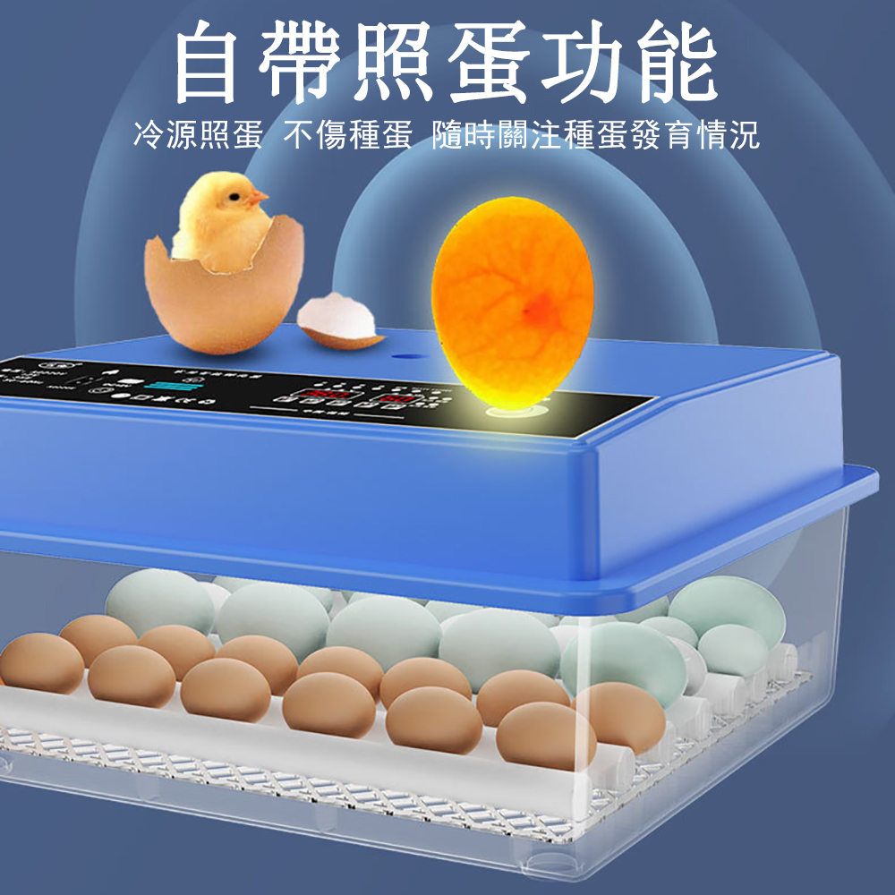 佳裕 64枚孵蛋器 全自動孵蛋機 抽屜式孵蛋機(小雞鴨鵝孵化