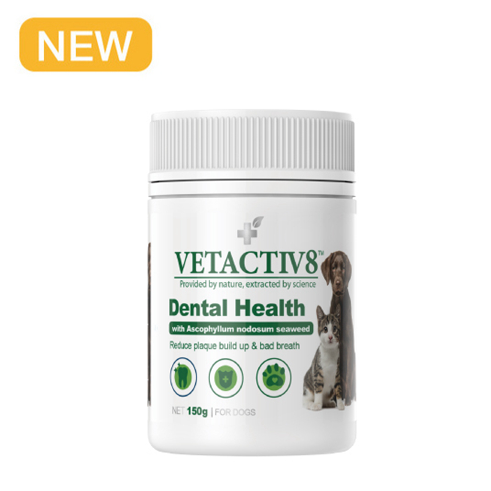 VETACTIV8 澳力8 褐藻牙結石粉150g(公司貨/澳