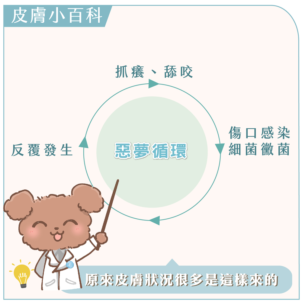 GOODMO 歸毛家族 皮在癢方案組(舒敏保濕洗毛乳500m