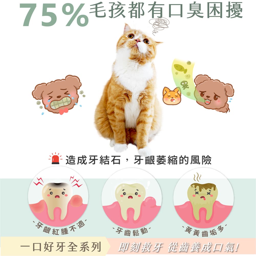 GOODMO 歸毛家族 寵物一口好牙(齦來健康護齒凝膠 60