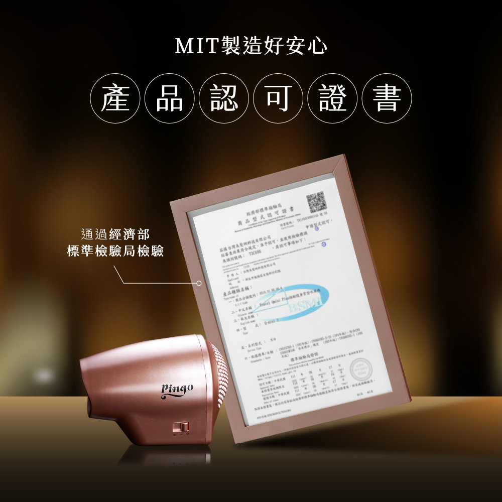 經審查結果符合規定,准予認可,並使用檢驗標識