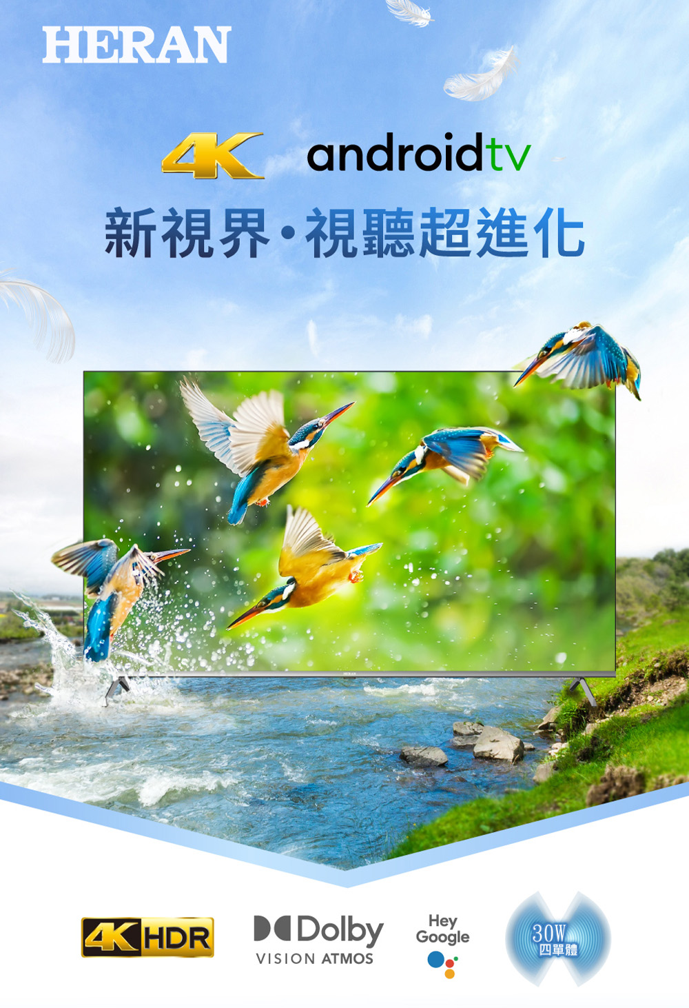 HERAN禾聯 55HQX-F1 - 詳情2