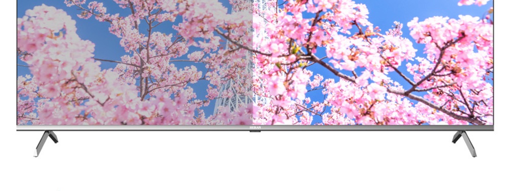 HERAN禾聯 55HQX-F1 - 詳情12