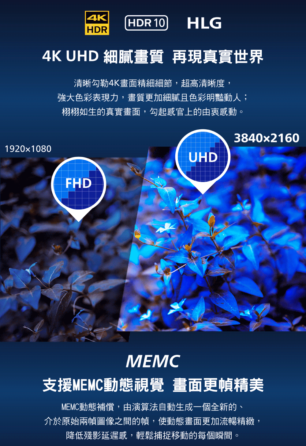 PHILIPS飛利浦 65PQT8159 - 詳情6