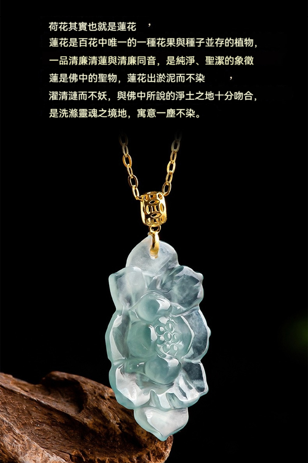 è®è±æ¯ç¾è±ä¸­å¯ä¸çä¸ç¨®è±æèç¨®å­ä¸¦å­çæ¤ç©,