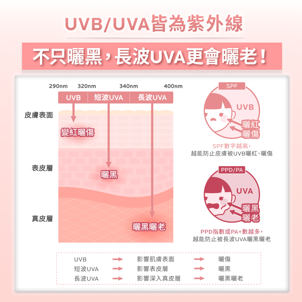 越能防止皮膚被UVB曬紅、曬傷