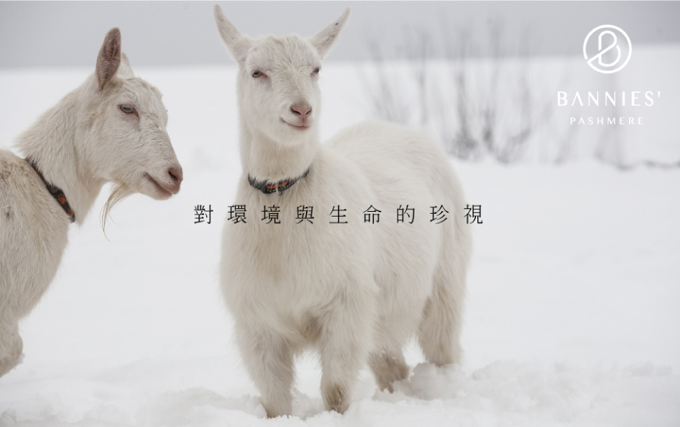 對環境與生命的珍視 