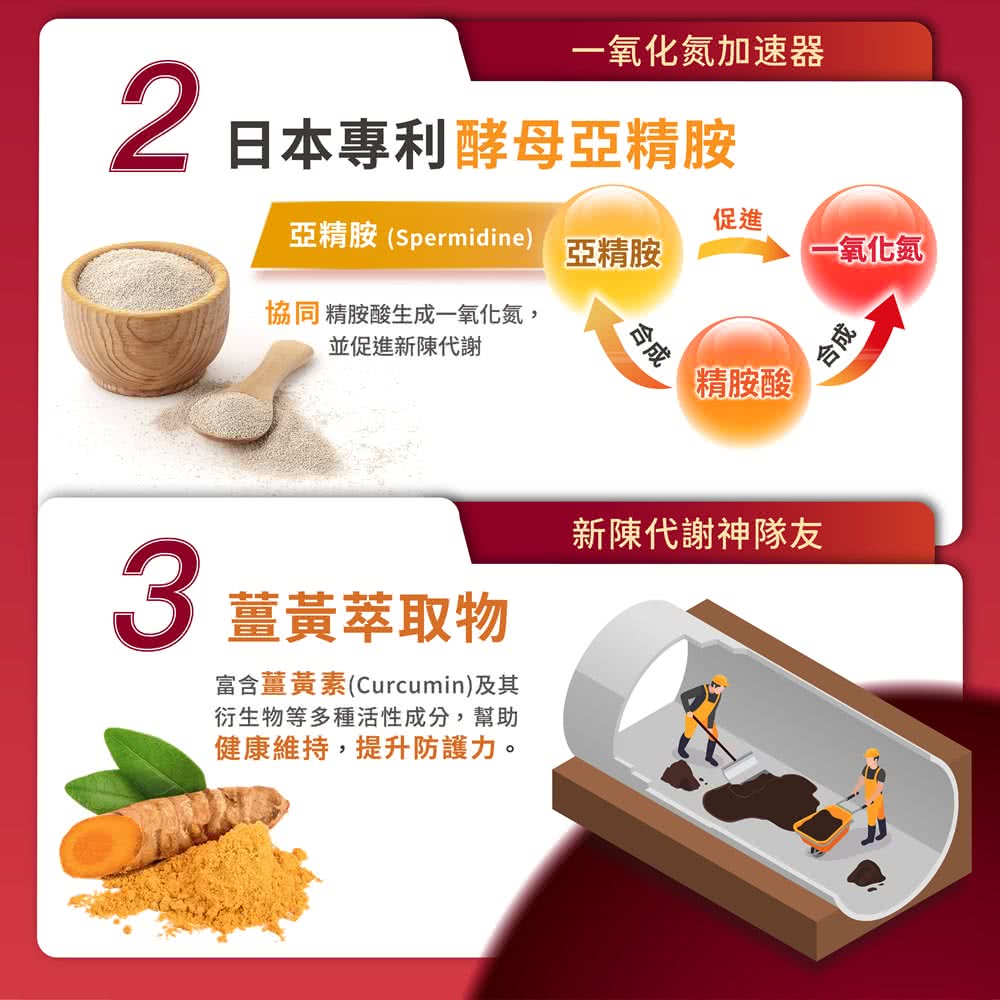 富含薑黃素Curcumin及其