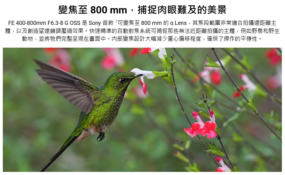 變焦至 800 mm,捕捉肉眼難及的美景 FE 400800mm F6.38 G OSS是Sony 首款 可變焦至 800 mm 的 a Lens,其焦段範圍非常適合拍攝遠距離主 體,以及創造望遠鏡頭壓縮效果。快速精準的自動對焦系統可捕捉那些無法近距離拍攝的主體,例如野鳥和野生 動物,並將牠們完整呈現在畫面中。內部變焦設計大幅減少重心偏移程度,確保了操作的平穩性。 