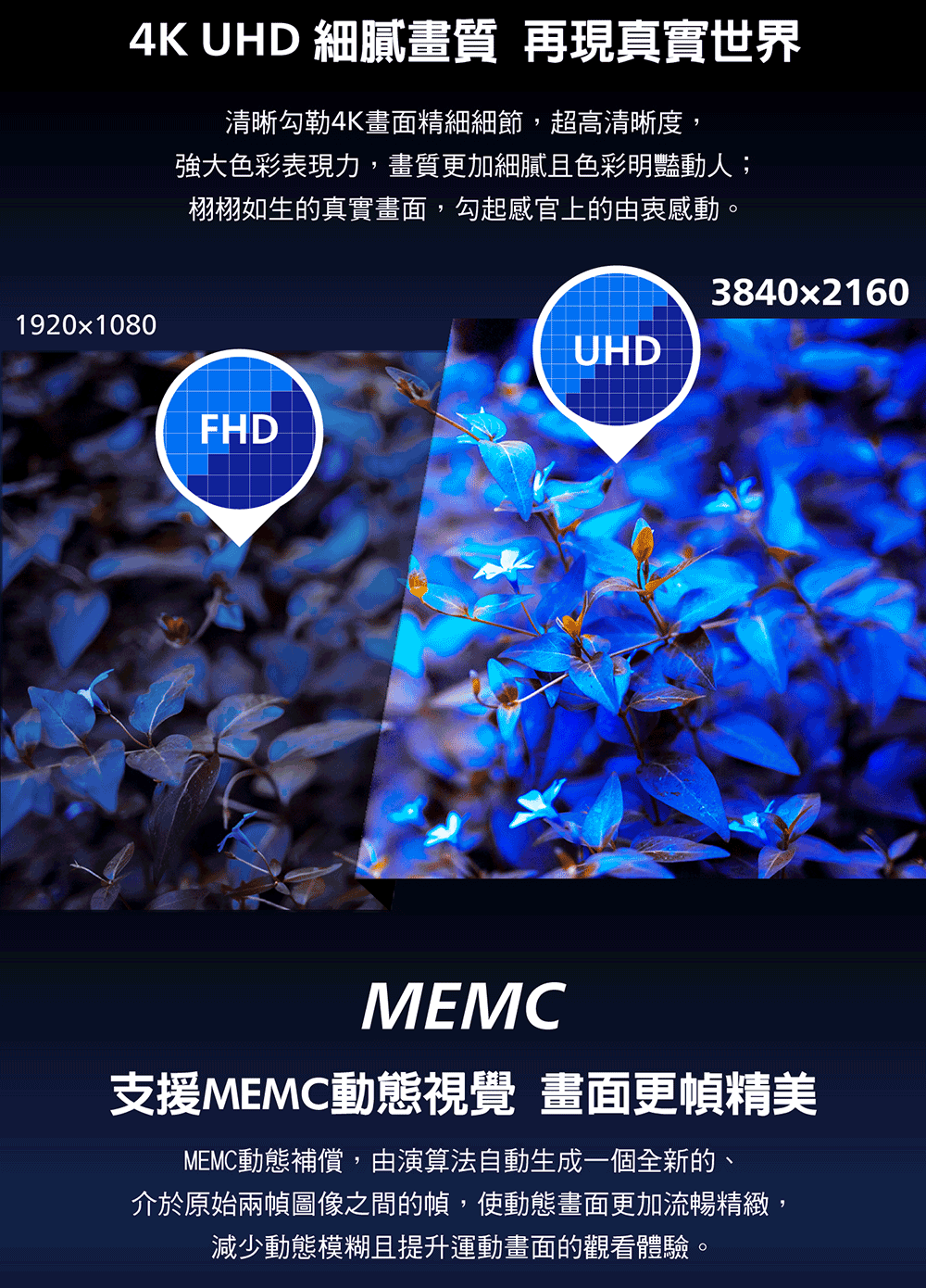 PHILIPS飛利浦 65PQT8369 - 詳情9