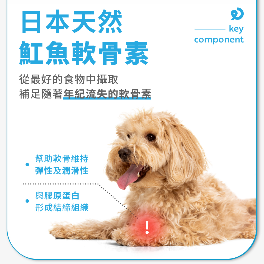 補足隨著年紀流失的軟骨素