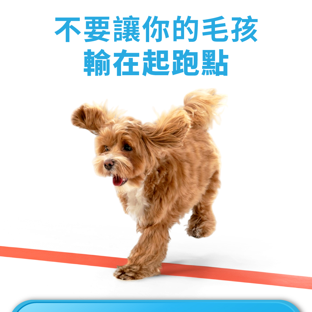 不要讓你的毛孩 輸在起跑點 