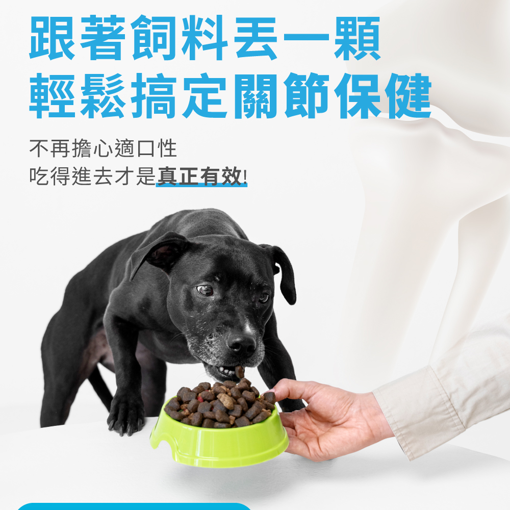 跟著飼料丟一顆 輕鬆搞定關節保健 不再擔心適口性 吃得進去才是真正有效 
