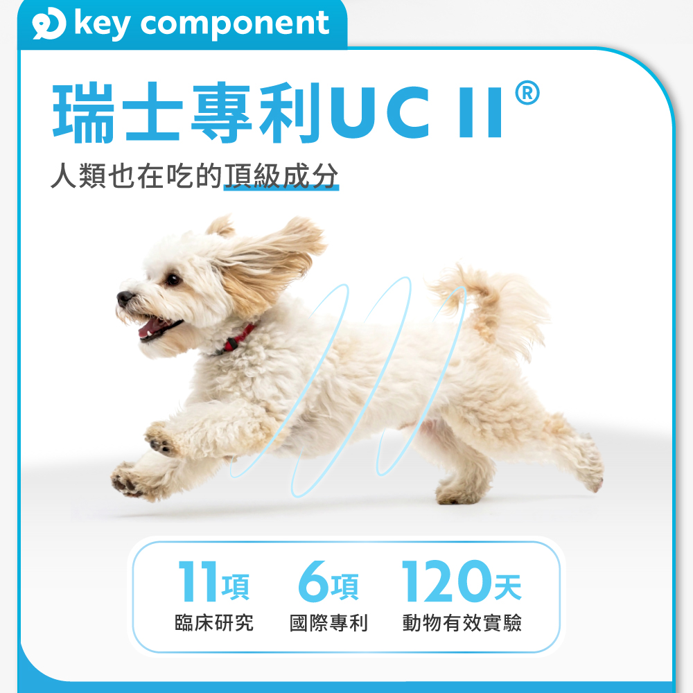 瑞士專利UC II 人類也在吃的頂級成分 11項 6項 120天 臨床研究 國際專利 動物有效實驗 